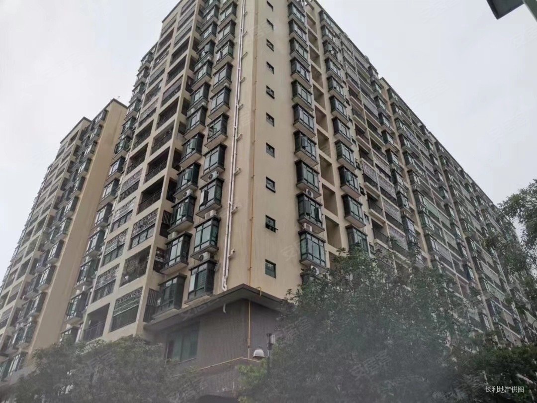 新安花园(长安)3室2厅2卫116㎡南北135万