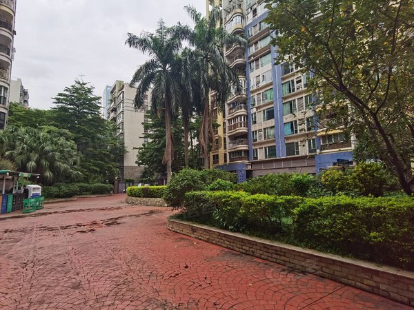 广州海珠琶洲畔江花园畔江花园,电梯精装大两房,南北通透,家私齐全