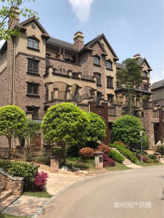 秀湖鹭岛叠下端头别墅出售,带前后花园,业主已做好现浇