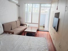 上海普陀真如14号线铜川路 低楼层精装修一室一厅天井小卧室 适合一家出租房源真实图片
