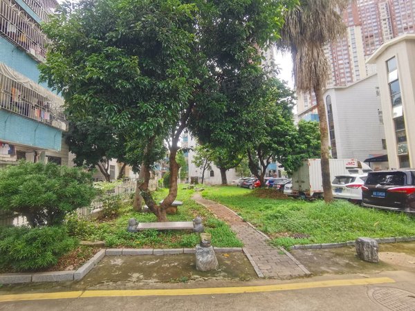 深圳龙岗横岗梧桐花园六约地铁口精装大三房,价格可谈,旁边麟恒广场