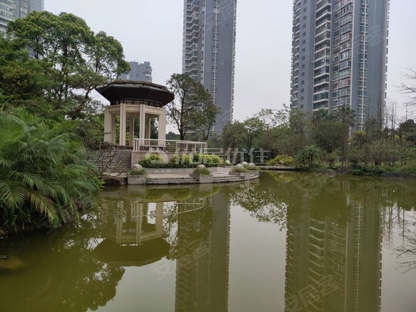 南宁青秀柳沙半岛半山半岛半山 电梯房 精装 押二付三 整租 3室 采光