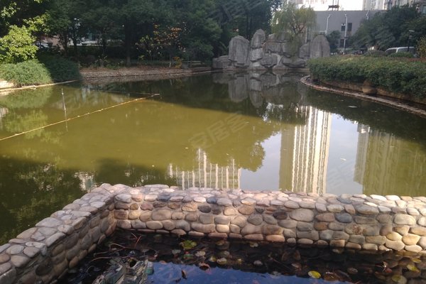 河景花园怎么样,好不好_中介房产经纪人:王强对河景花园的评价-常州安居客