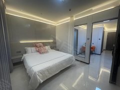 丽水莲都水阁未来公寓俩室一厅南北通透酒店式公寓出租房源真实图片