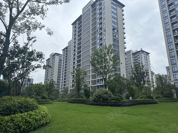 杭州富阳银湖众安顺源府6号线虎啸杏地铁口  精装修  领包入住  随时