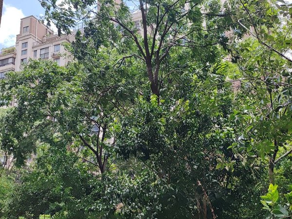 苏州常熟常熟老街常熟老街尚贤坊常熟老街小高层,三房两卫,生活便利