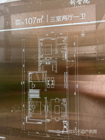 新晋院3室2厅1卫107㎡南北48万