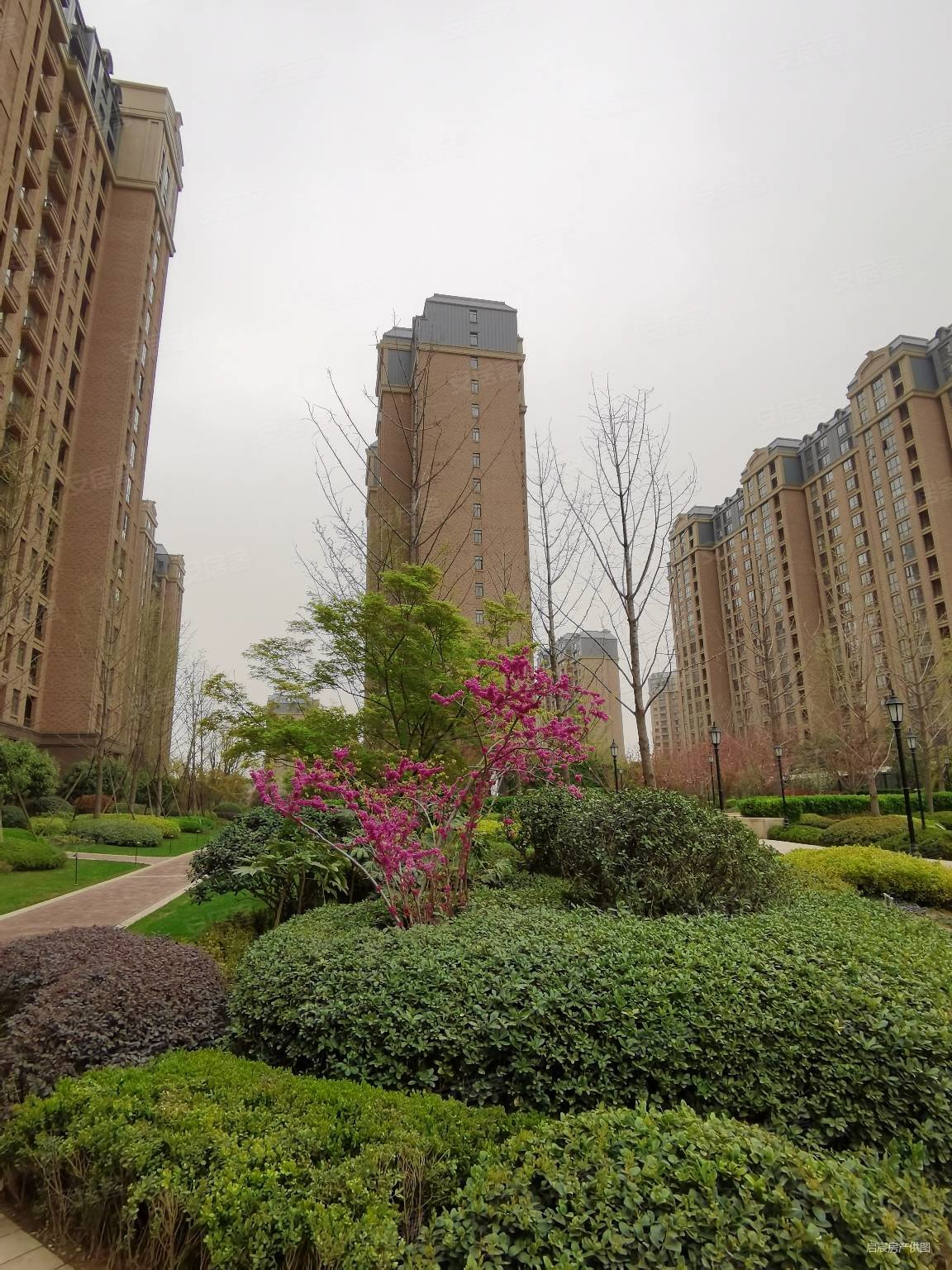 普罗旺世龙之梦东苑3室2厅2卫119㎡南390万