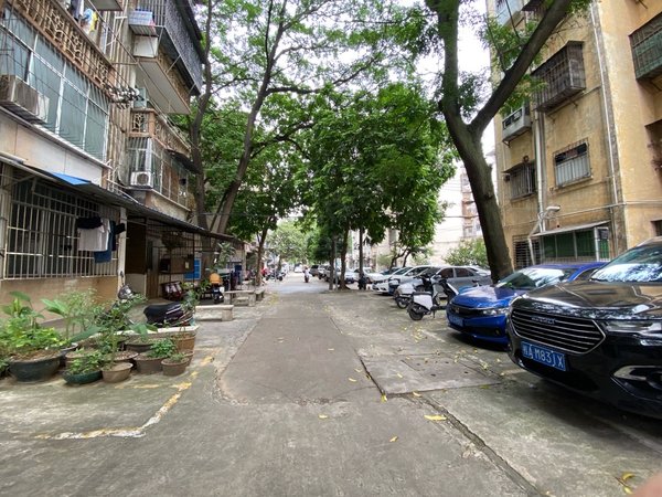 南宁青秀新竹新竹小区新竹小区中间楼层3房1厅户型方正采光好1号线