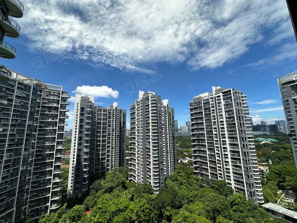 深圳南山华侨城中信红树湾(南区)中信红树湾南区高层大四房,户型通透