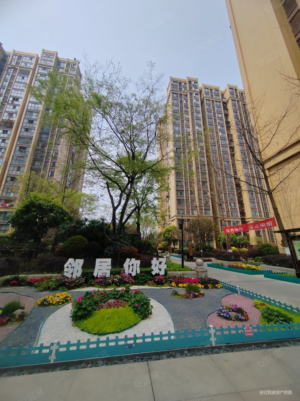 动物园 南北通透 交通便利 带电梯 商业配套成熟 临地铁,金科中心二手