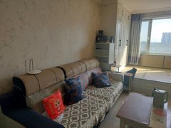 铁岭铁岭县铁岭城区天水丰汇电梯房一室一厅干净整洁出行方便出租房源真实图片