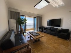 汕尾汕尾城区东涌碧桂园天誉  189平方  四房  拎包入住也可空房 高楼层出租房源真实图片