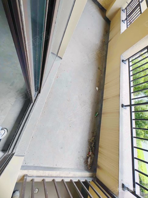 现房 现房 精典三房 带双阳台 好楼层 全天采光 随时可看房,弘阳昕悦