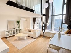 合肥政务荷叶地政务区银泰 天鹅湖 唯品会 融创信达政务壹号 朝南loft出租房源真实图片