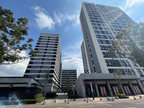 昆明呈贡大学城远洋新干线远洋新干线  出租 loft公寓 1200 拎包入住