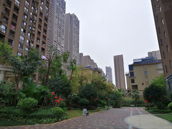 福州闽侯甘蔗世茂上游墅西区(商住楼)世茂单身公寓27平方900包物业可