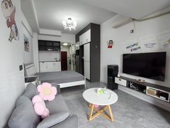 百色平果新兴街平铝大厦精装修一室一厅一卫1000月47平方出租房源真实图片