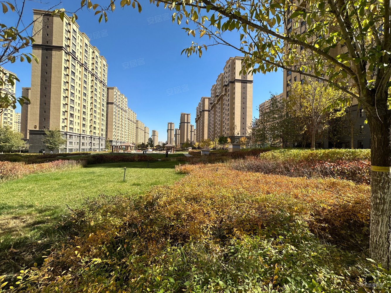 沙区西山近八一紫金城紫祥园109平三室两厅一卫南北通透