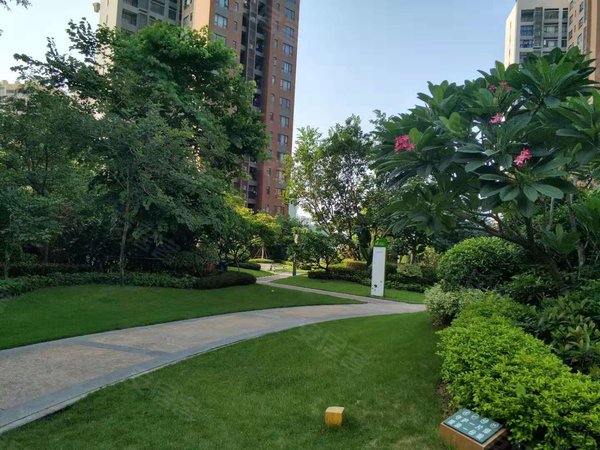 珠海斗门白蕉万科魅力之城自住房 第一次出租 看房方便 南向 高层出租