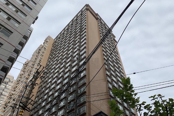 中心铂庭怎么样,好不好_中介房产经纪人:彭平宗对中心铂庭的评价-上海