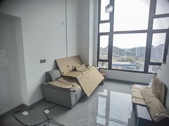 东莞常平常黄路常新公园旁，近新城学校，金地艺境复式3房出租，全新出租房源真实图片