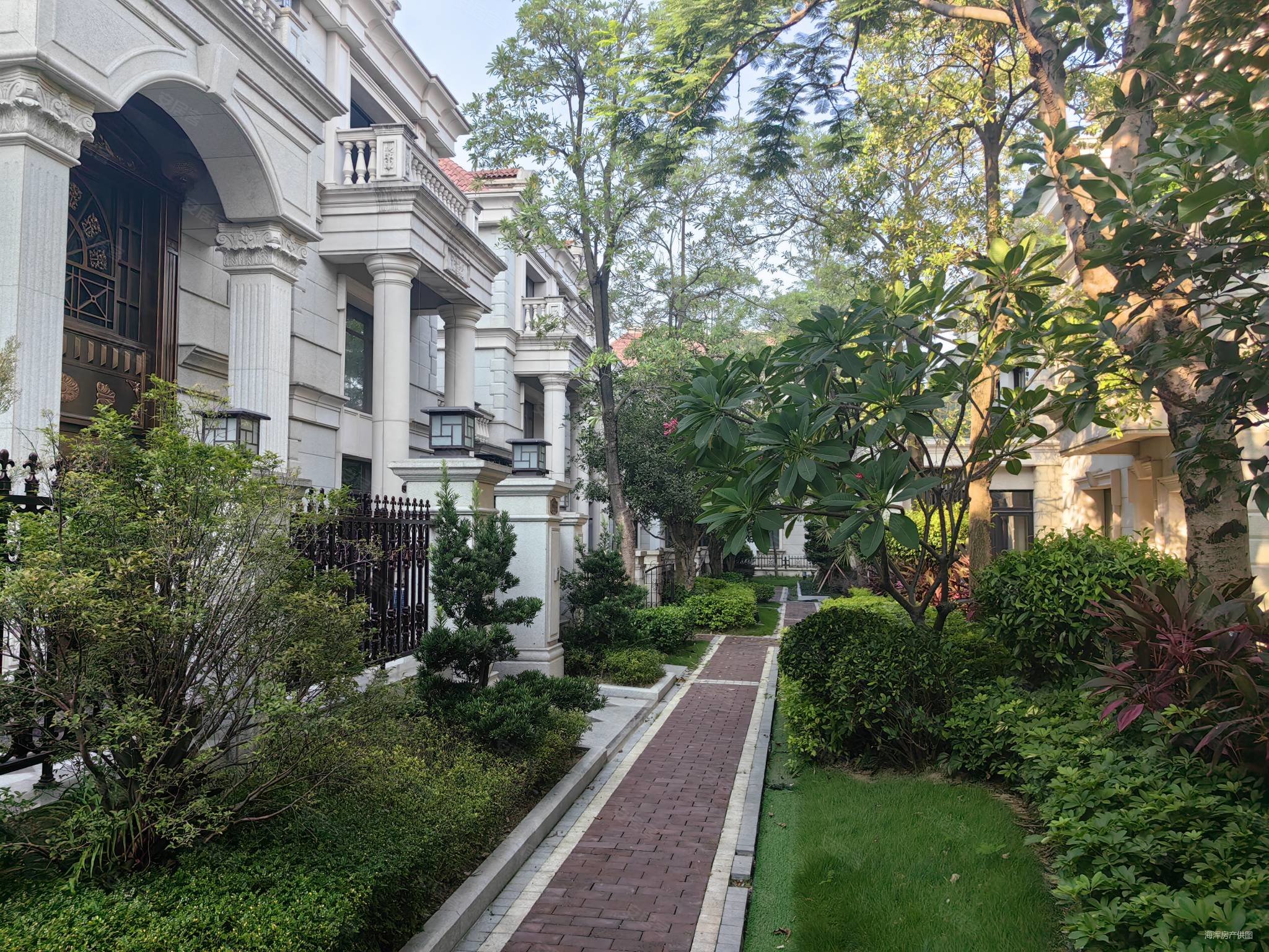 世茂御龙湾满堂红别墅