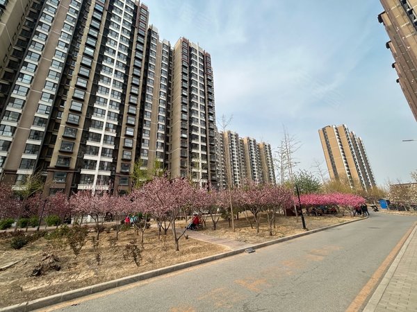 北京朝阳东坝坝鑫家园坝鑫物业直租,坝鑫家园小区,精装2居,高楼层无