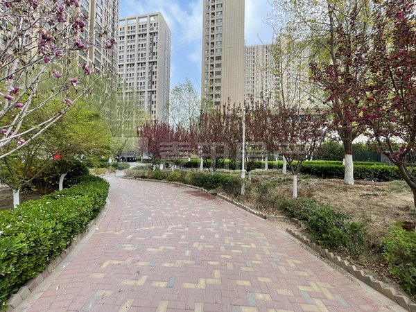 博罗林奥嘉园紧邻奥森公园 小区自带商业 视野开阔 观景奥森 性价比高