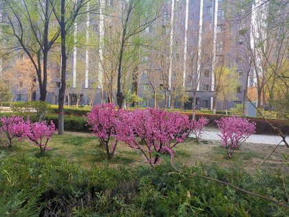 民生兴庆府大院西区