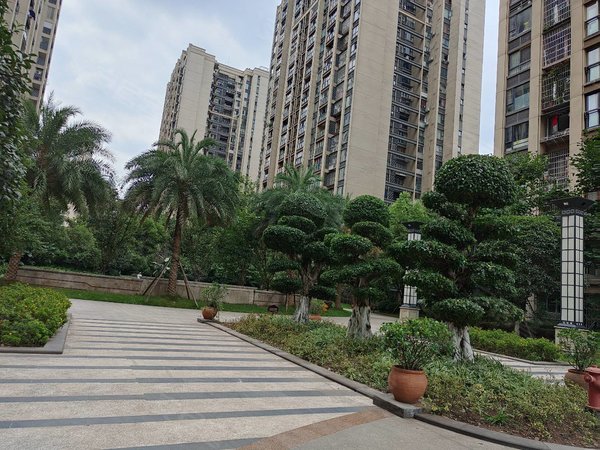 重庆万州江南新区江城一品(二期)江城一品小区门口等你呢啊出租屋出租