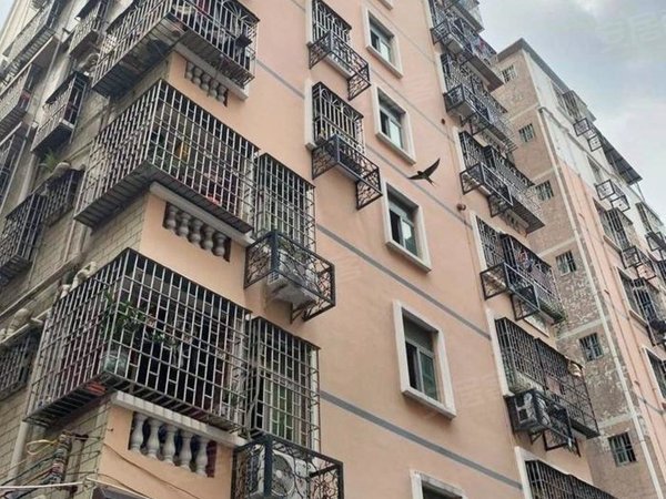 深圳龙岗坂田雪象花园雪象花园新村,小产权2房,通天然气,有阳台,适合