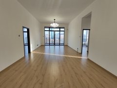 深圳罗湖蔡屋围所见所得 六支队大院1栋大户型 新装修出租出租房源真实图片
