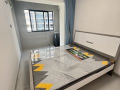 莆田荔城红星美凯龙绶溪璟悦 1室1厅1卫 精装修 电梯房 47平出租房源真实图片