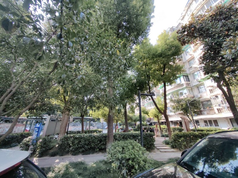 杭州房产网>杭州二手房>西湖二手房>文新二手房>金成花园(公寓住宅)>