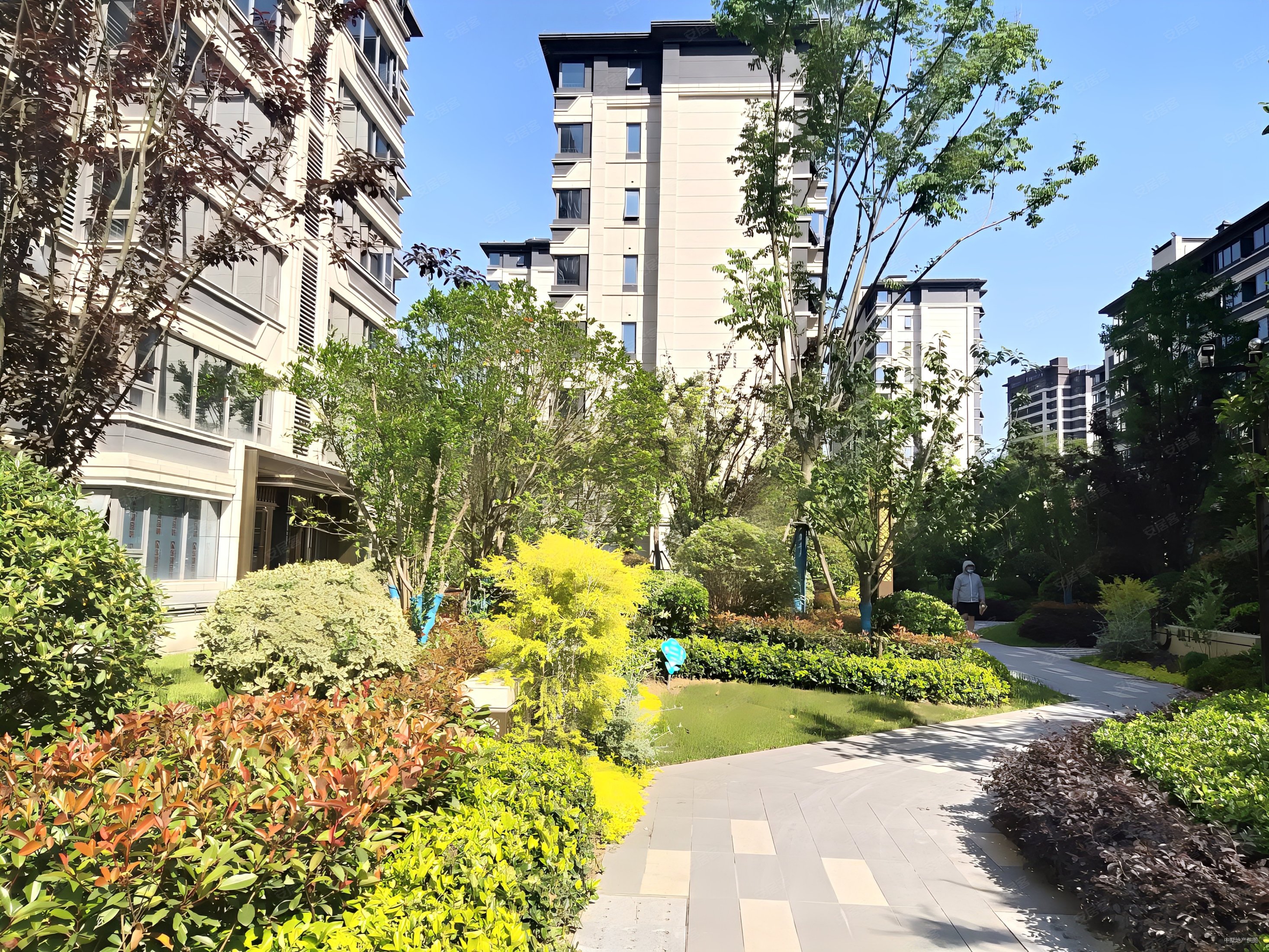 龙湖春江紫宸洋房底复价格可谈南北通透近地铁次新小区