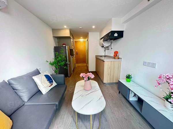 广州增城新塘永荟广场永旺商圈 单身公寓ins风天花板 只需1700 业主