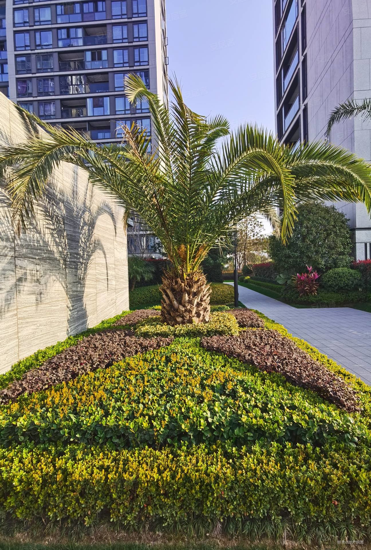 tod科技城 名都苑温州之翼天空之城 专做 在售258套,tod温州之翼二手