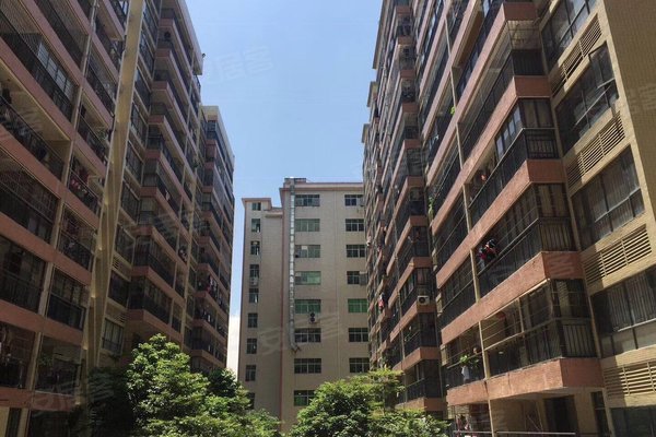 雅居苑优点,不足,雅居苑怎么样,雅居苑周边房产中介经纪人评价-深圳