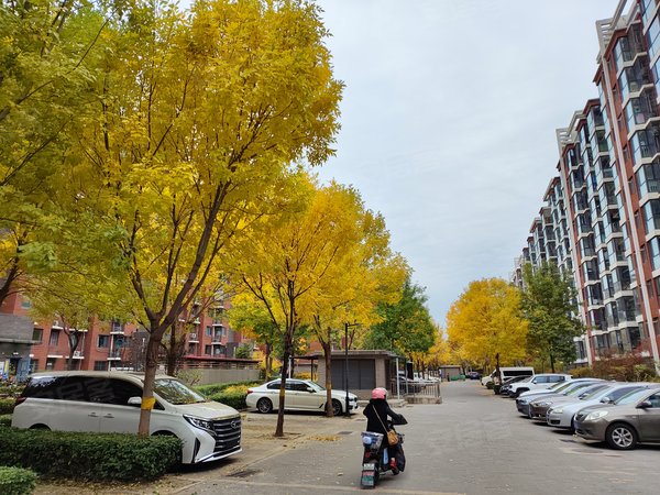 如东柳浪家园南里有钥匙随时树村丽景苑裕和嘉园柳浪家园电梯高楼层南