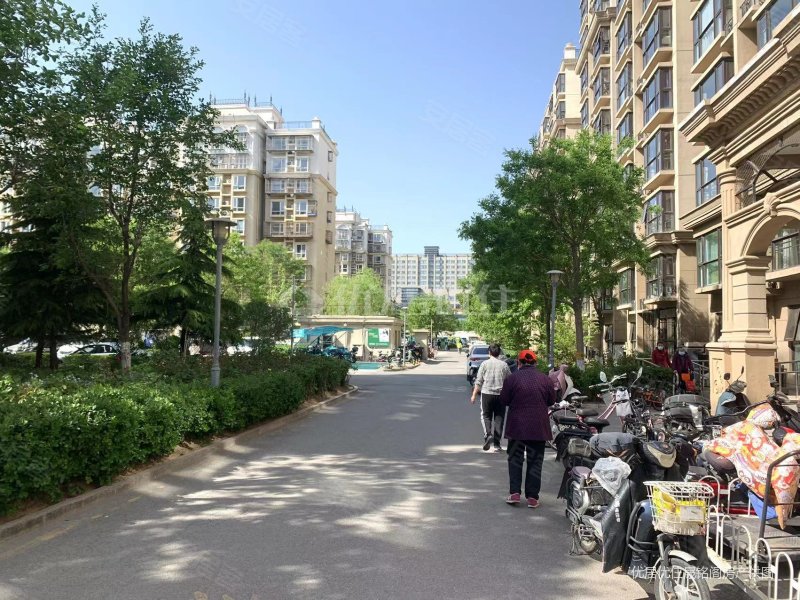 珠江丽景家园 精装 电梯洋房 随时入住