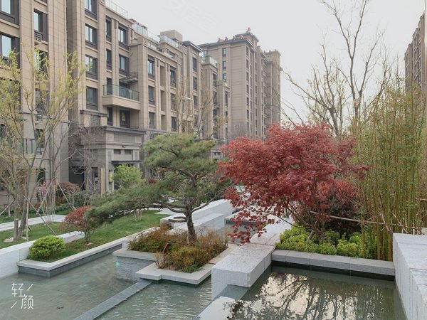 青岛城阳白云山公园澜公馆澜公馆 特价210 可短租月付 无中介 近天安