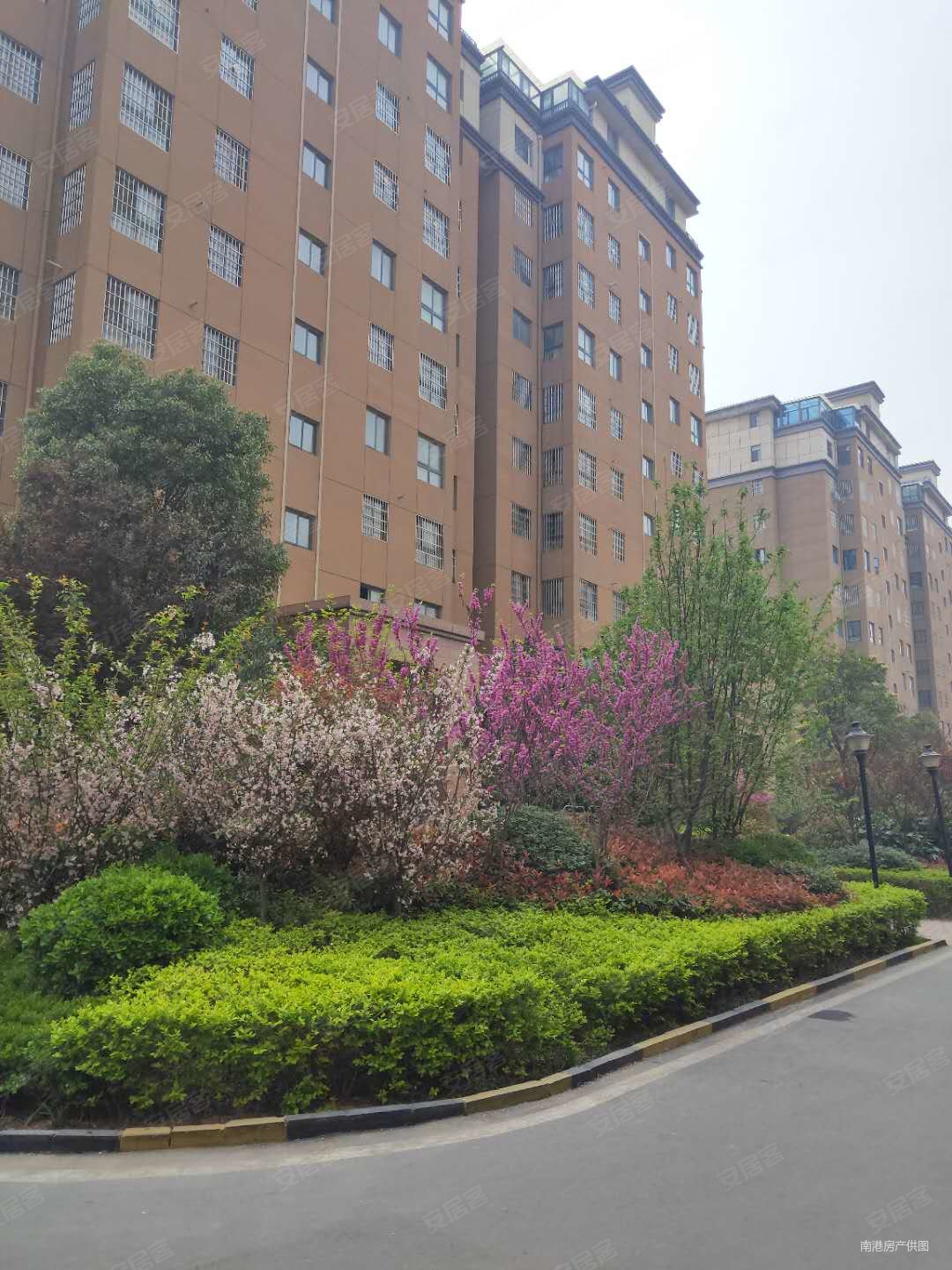 急售 薛店尚东郡 双气小区 精装两房 自带 方便看房