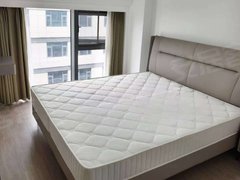 宁波宁海宁海大厦星耀城复式2室1厅1厨1卫，朝南，精装修拎包入住出租房源真实图片