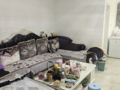 东日凯旋城 3居室 带家具家电 拎包入住 1700一个月