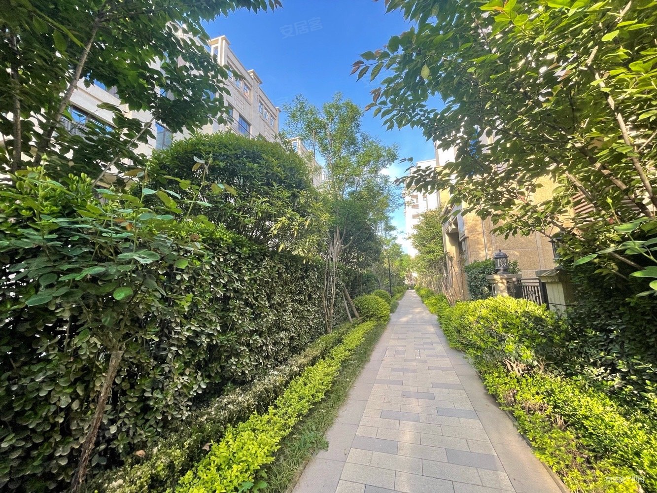 中海曲江大城雍宸5室3厅5卫231.09㎡南北1000万