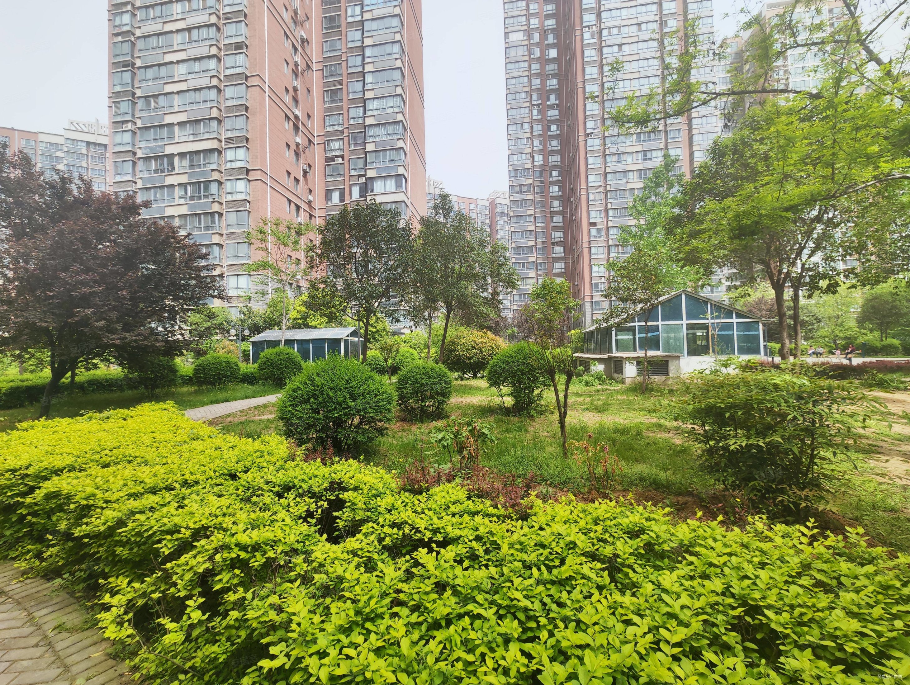 洛一高对面书香苑三室急售价格可谈有钥匙随时看