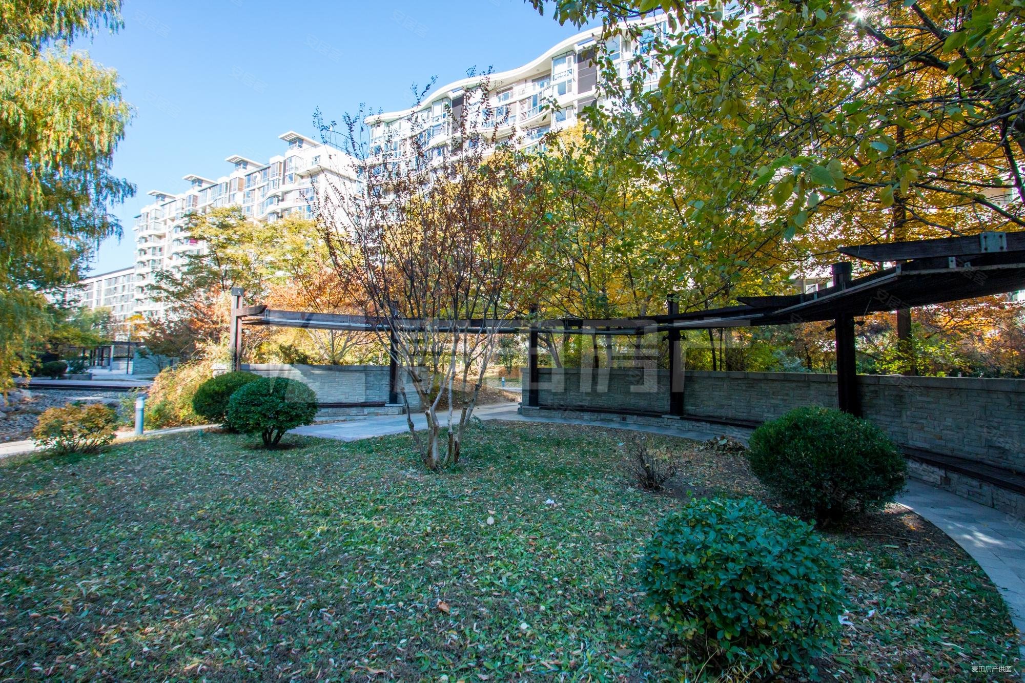 乐成国际3室2厅2卫147㎡南北1520万