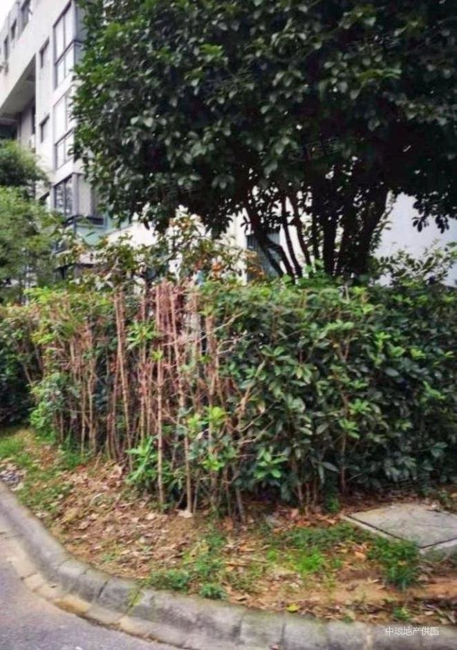 将军大道翠屏湾花园城3房 双卫 南北通透急售 临地铁 商品房