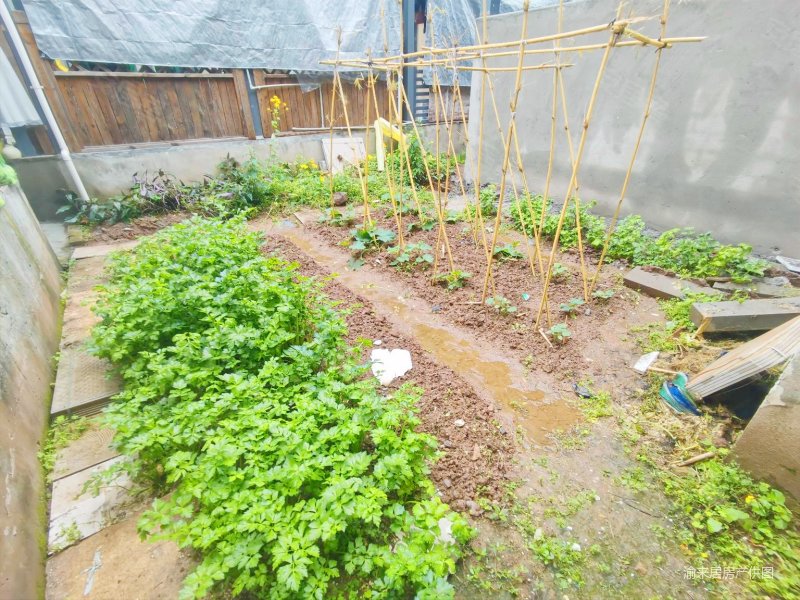 135万,买5层联排别墅,单价8000,捡钱了,送1车位,金阳第一农场大学城